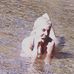 Vanessa Forner Lorente - Facebook