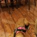 Vanessa Gillett - Facebook