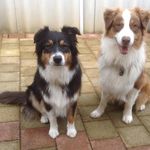 Vanessa Gregson - @rayvan002 - Instagram