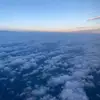 VANESSA GRIFFITHS - @vanessa.griffiths0 - TikTok