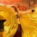 Vanessa Grosso - Facebook