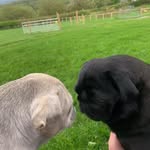 Vanessa Hatch - @vanessahatch4 - Instagram