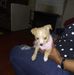 Vanessa Horton - Facebook