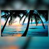 Vanessa Houck915 - @user293382555 - TikTok