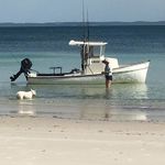 Vanessa Howe - @veesdoggyholidaycare - Instagram