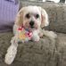 Vanessa Hurley - Facebook