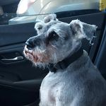 Vanessa Hurley - @prince_ruger - Instagram