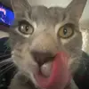 Vanessaislasxx - @vanessaislasxx - TikTok