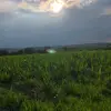 Vanessa Jauregui - @vanessajauregui48 - TikTok