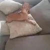 Vanessa Jorge - @vanessajorge32 - TikTok