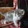 Vanessa Joyce360 - @vanessajoyce360 - TikTok