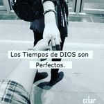 Vanessa Jumbo - @vanessaj2456 - Instagram