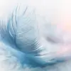vanessakent14 - @vanessakent14 - TikTok