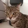 Vanessa Keysers - @vanessa.keysers - TikTok