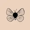 Vanessa Knott - @floatingnotions - TikTok