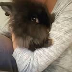Vanessa Kopp - @vanessa.kopp.581 - Instagram