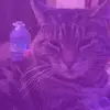 vanessa_lantz - @vanessa_lantz - TikTok