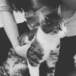 Vanessa ❤ - @_vanessa_lena_ - Instagram