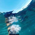 Vanessa Lytle 🌴 - @sbwanderer - Instagram