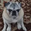 Vanessa - @vanessamarek887 - TikTok