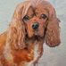 Vanessa Marsh - Facebook