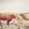 vanessamccabe0 - @vanessamccabe0 - TikTok