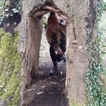 Vanessa Dellar - @vanessa.mcelroy.9 - Instagram