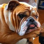 Vanessa McGee Meyer - @meyer5493 - Instagram