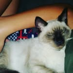 Vanessa Meadows - @vanessa.meadows.5496 - Instagram