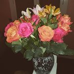 Vanessa Messer - @vanessamesser_1960 - Instagram