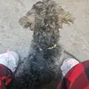 ️Vanessa_Mire - @vanessa_mireles - TikTok