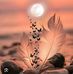 Vanessa Mireles - Facebook
