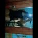 Vanessa Moncada - Facebook