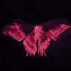nessa - @vanessaolvera98 - TikTok