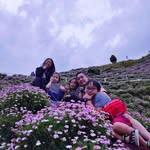 Vanessa Ong - @van_ong - Instagram