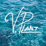 Art by Vanessa Plant~ V.Plant - @plantscreations - Instagram