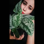 vanessa -----> plant lover 🌱💚 - @vanessa_and_plants - Instagram