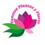 Vanessa plantas y flores - @vanessa_plantas_y_flores - Instagram