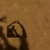 vaneportilll14 - @vanessaportillo.3 - TikTok