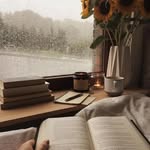 Vanessa A - @vanessareads.stories - Instagram