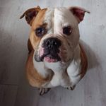Vanessa Schreiber - @03ares01 - Instagram