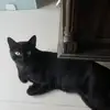 vanessa schreiber - @vanessaschreiber5 - TikTok