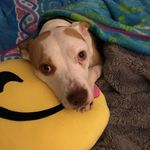 Vanessa Singleton - @disneygirl20161 - Instagram