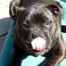 Vanessa Stanfield - Facebook