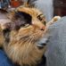 Vanessa Stoffer - Facebook