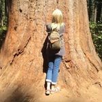 Vanessa Steadman - @vanessa.steadman - Instagram