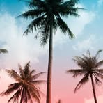 Vanessa Steinke - Facebook