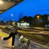 Osvaldo Herman - @vanessa_stephenson529880 - TikTok