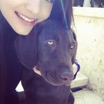Vanessa Stoner - @rescuetownmib98 - Instagram