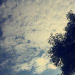 Vanessa Storm - @vanessa_6_6_6_ - Instagram